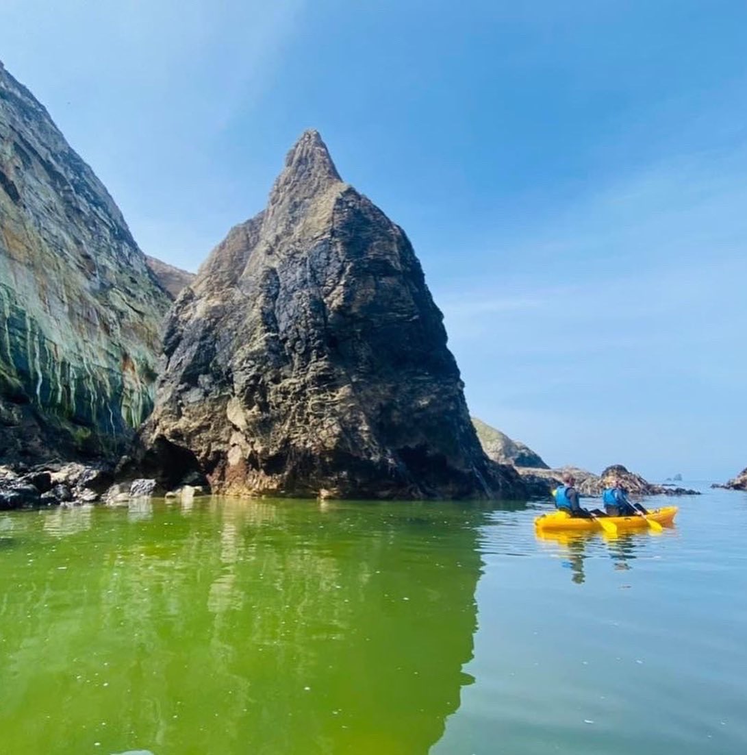KoruSup's tweet photo. The #gift of #adventure and ultimate #feelgood Christmas Present! #Kayak along the #stagnescoastline @lovestagnes, #Kayak or #paddleboard #helfordriver @budockveanhotel Perfect for locals and visitors. Click here to buy #giftvocuhers 
https://t.co/FE2VtJzgJ7 https://t.co/CuiqM2MS1Z