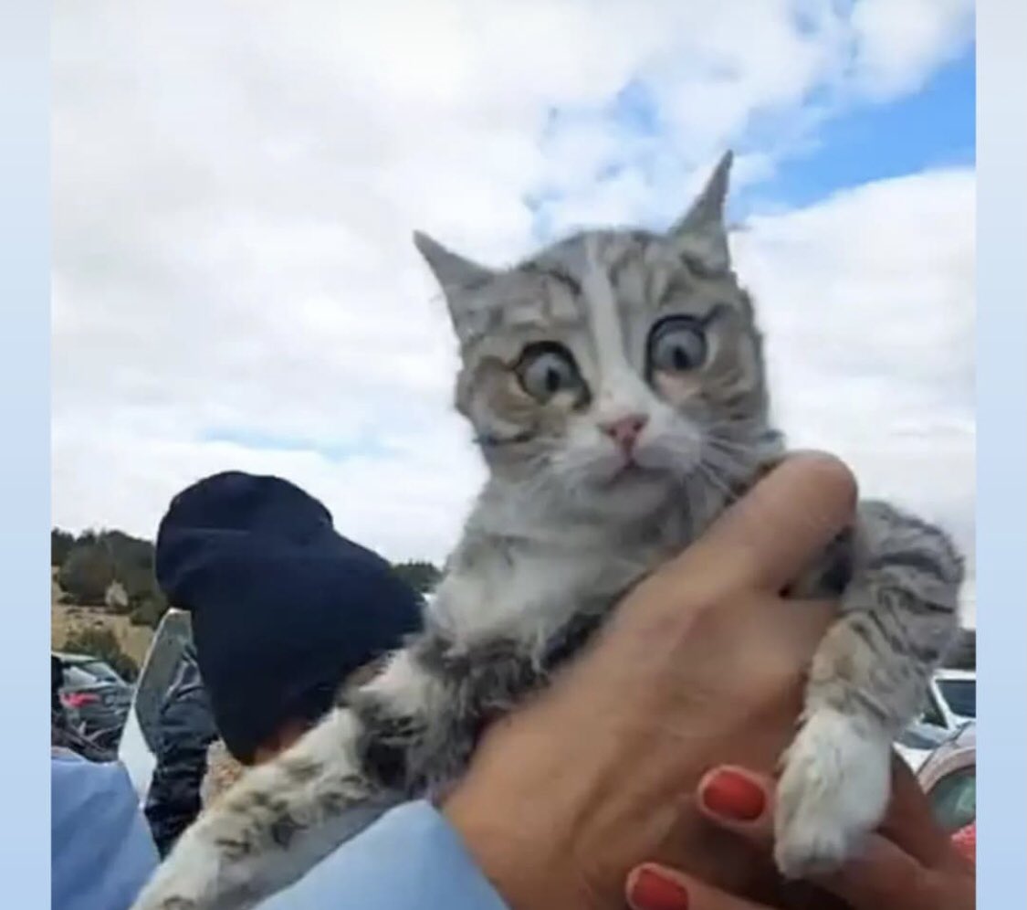 Sana bunu yaşatanlar bin beterini yaşasınlar .. huzurla uyu gittiğin yerde  .. #Konyadakatliamvar