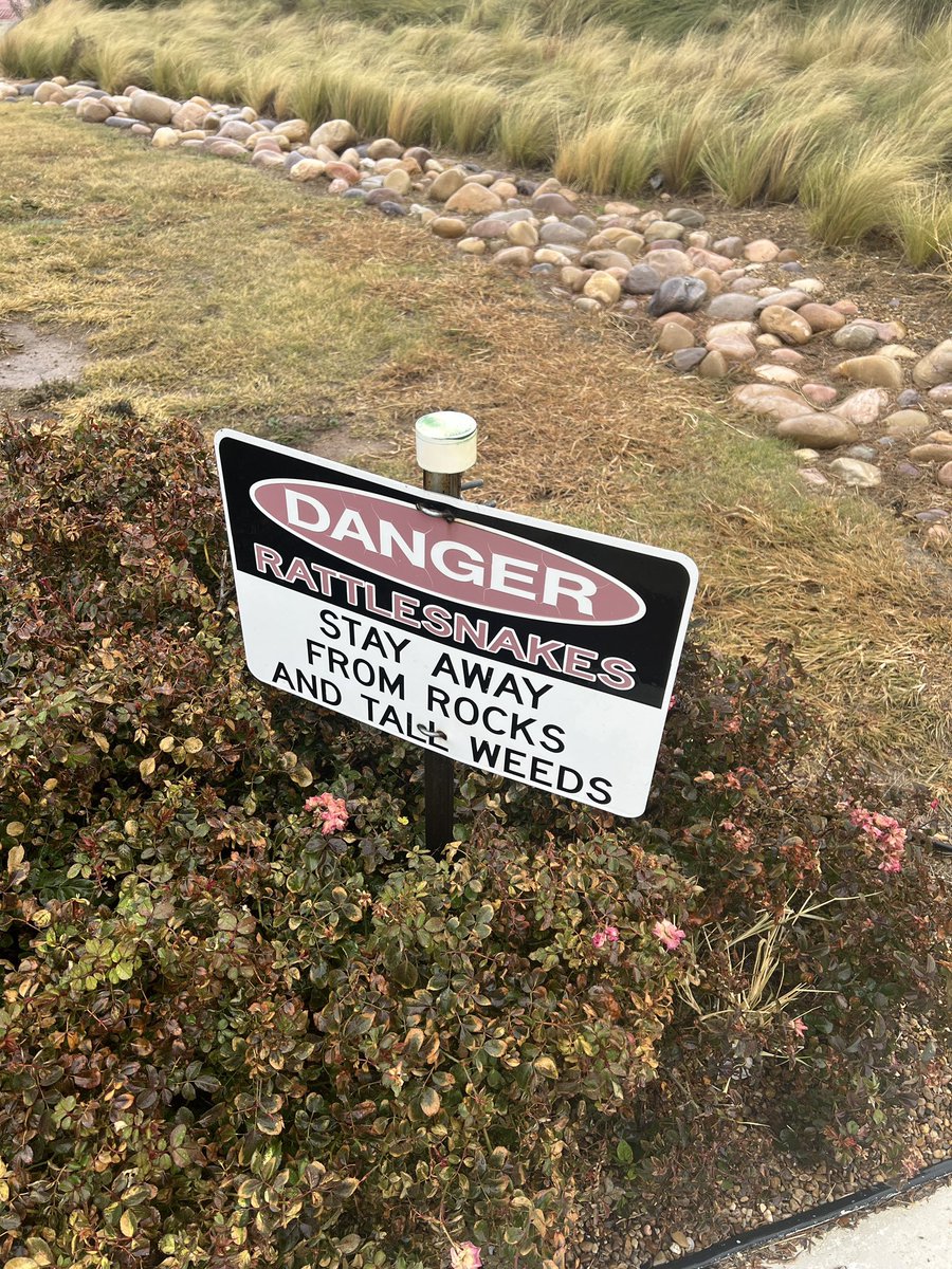 vzenthecreator's tweet photo. Be careful in the bushes https://t.co/DKrBGcwWWI