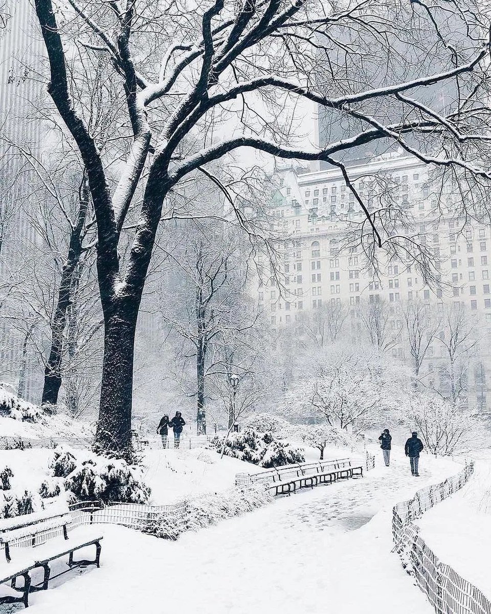 alhafig's tweet photo. New York's Winter https://t.co/zreYrNl4t9