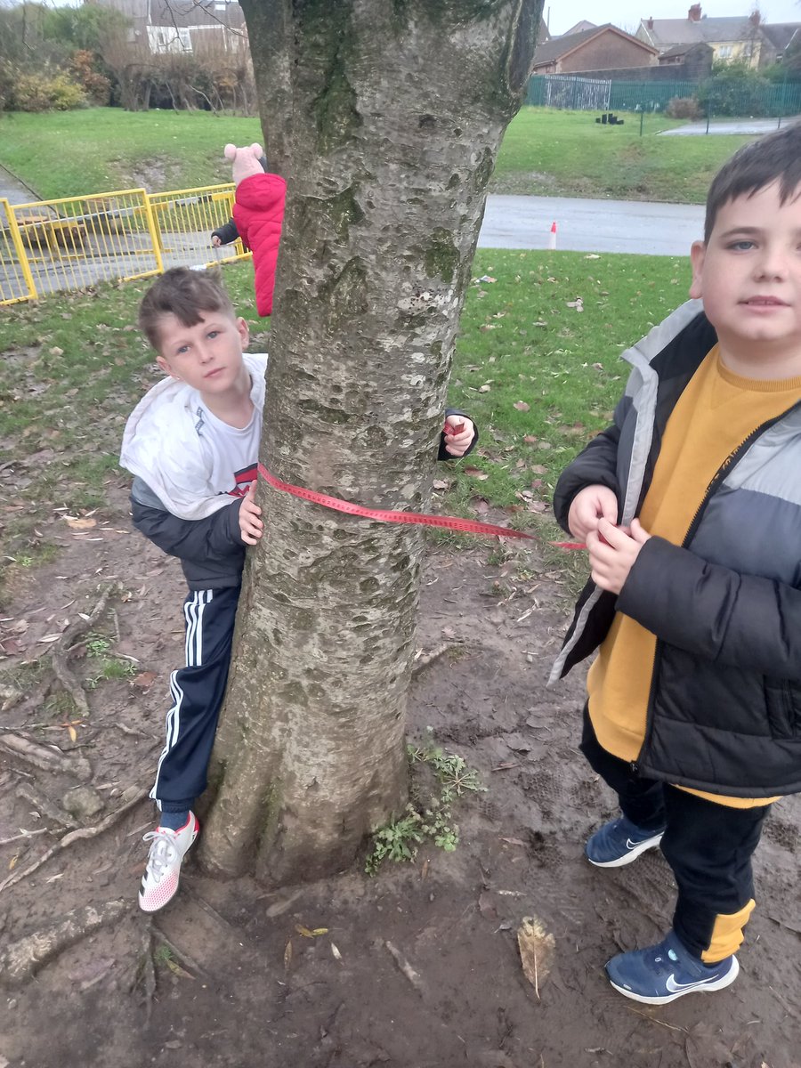 gwyrosydd2018's tweet photo. Outdoor maths today just before the heavy showers. Using measuring tapes  with a partner - make sure it's not twisted! @SchoolGwyrosydd #gspNUM https://t.co/SKuwtoFN7D