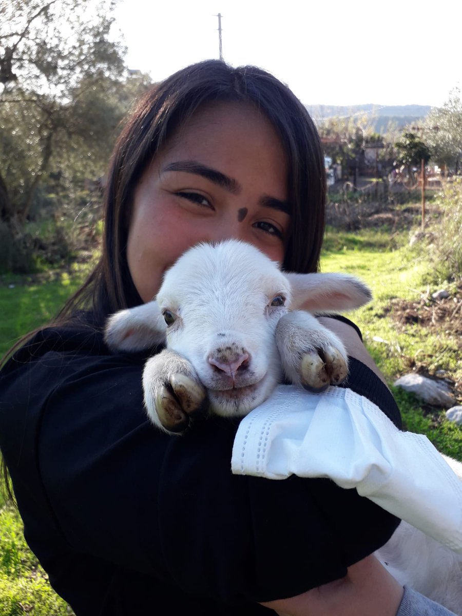 Konu pozitiflik ve hayvanlar olunca enleri seçmek zor.