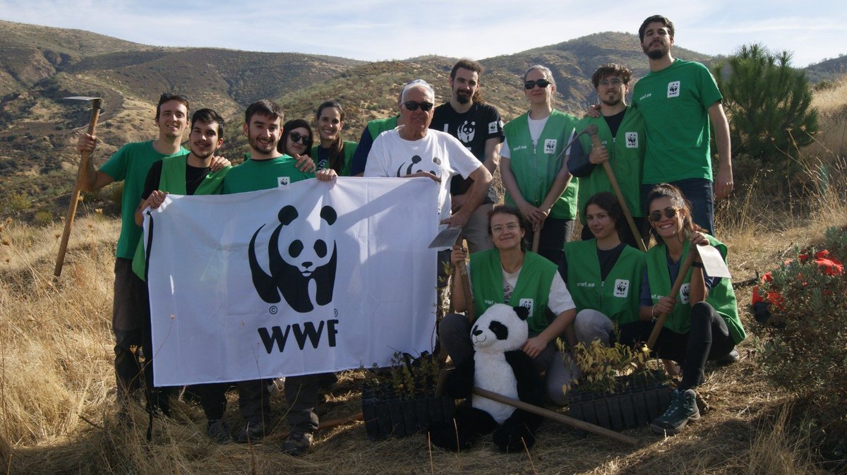 Grupo Local WWF Granada tweet media