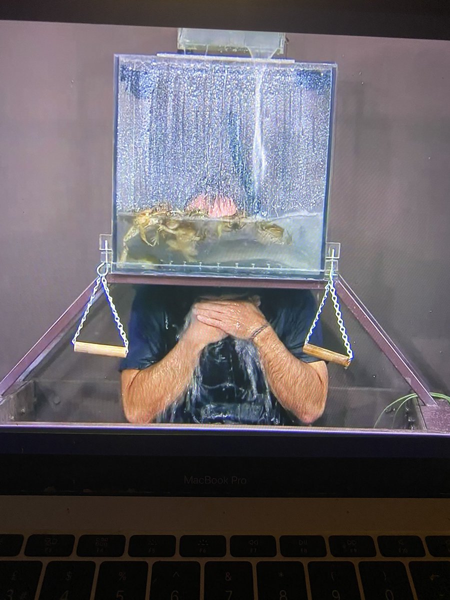 mememeup99's tweet photo. Ant and Dec trying to drown Matt is iconic 
 #ImACeleb https://t.co/lrVVe3IlfH