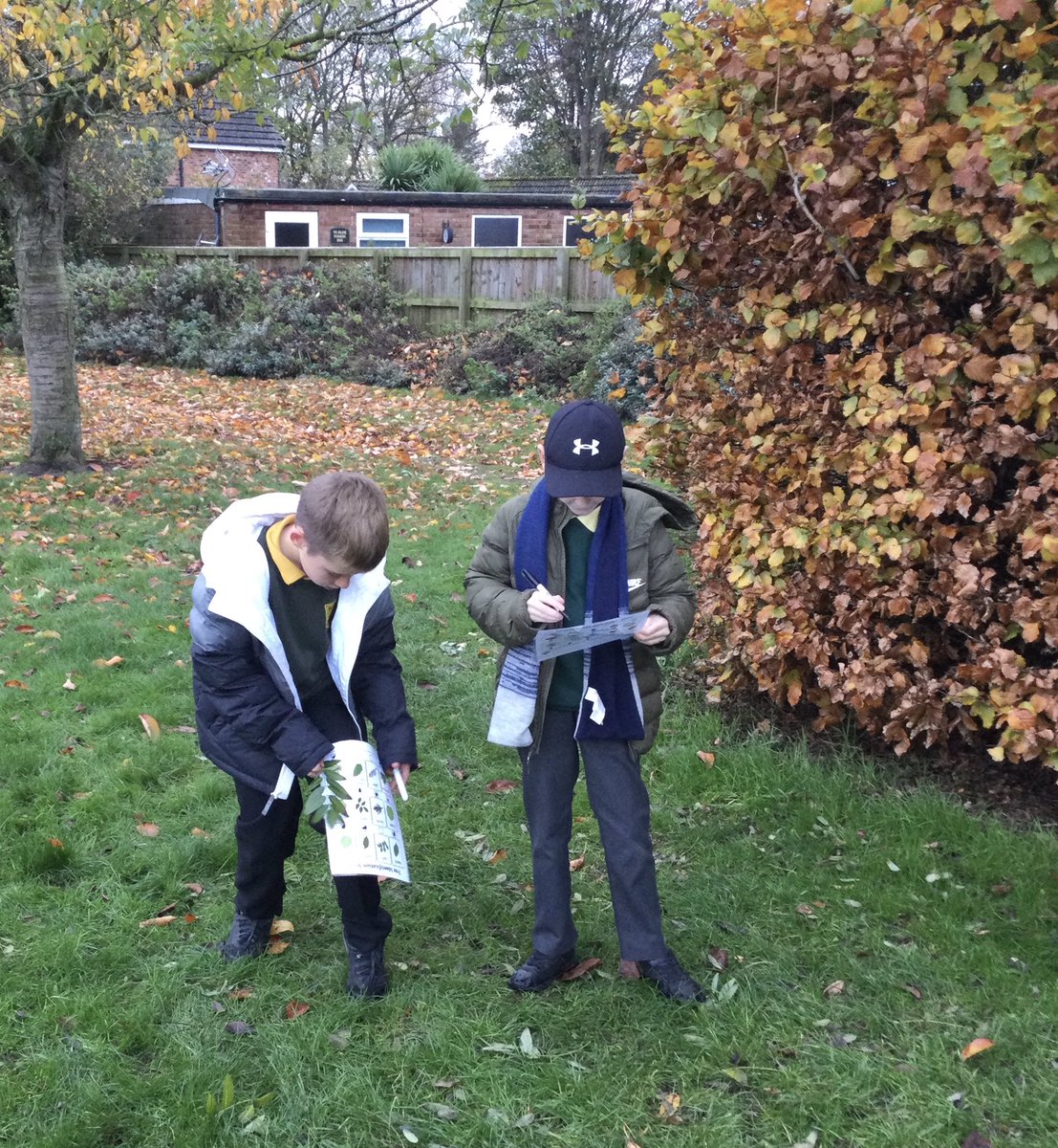 Burlington Juniors tweet media