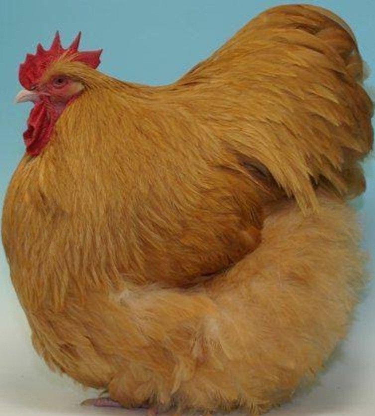 EDPlugNG's tweet image. Who says tax payers money no sweet?