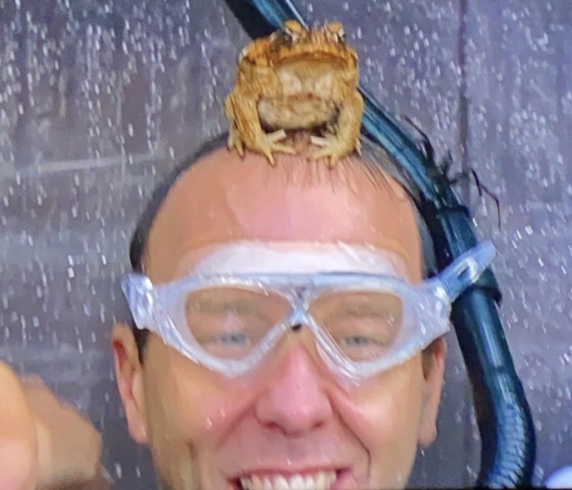 Matt Hancock walks into a bar with a toad on his head. The barman says "eurgh, that’s disgusting, how did that happen?” The toad replies "I dunno, I woke up this morning and it was growing from my arsehole."