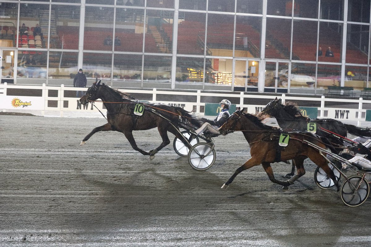 E3trav's tweet photo. E3 Revanschen H/V och 175 000 kr vanns av Hustle Rain på 12,5/2140 auto med körsven Magnus A Djuse. Tränare Mattias Djuse och hästskötare Sebastian Lindberg. Uppfödd av Thomas Lind-Holm som även deläger med Metro Invest A/S. Stort grattis 👏🏆🥳
Foto: Lennart Kihlman https://t.co/YUzN29XHDL