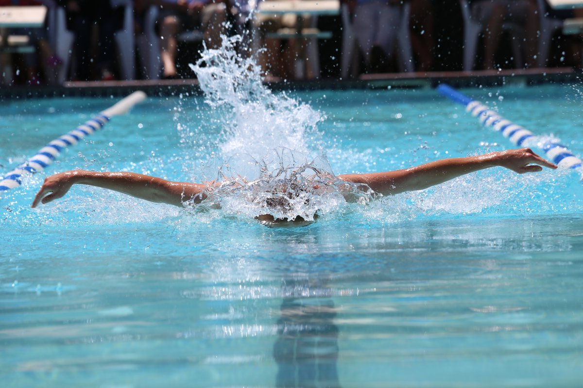 BJSM_BMJ's tweet photo. 🚨What is the impact of swim training loads on shoulder musculoskeletal physical qualities? 🏊‍♂️🏊‍♀️

Which factors are important to monitor and which may increase the risk of shoulder pain in competitive swimmers? 🤔

NEW #PhDAcademyAward 📄👇

https://t.co/vhnBc5t2ia https://t.co/wnvwKdqn45