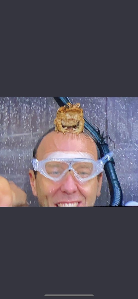 sarah jane tweet media