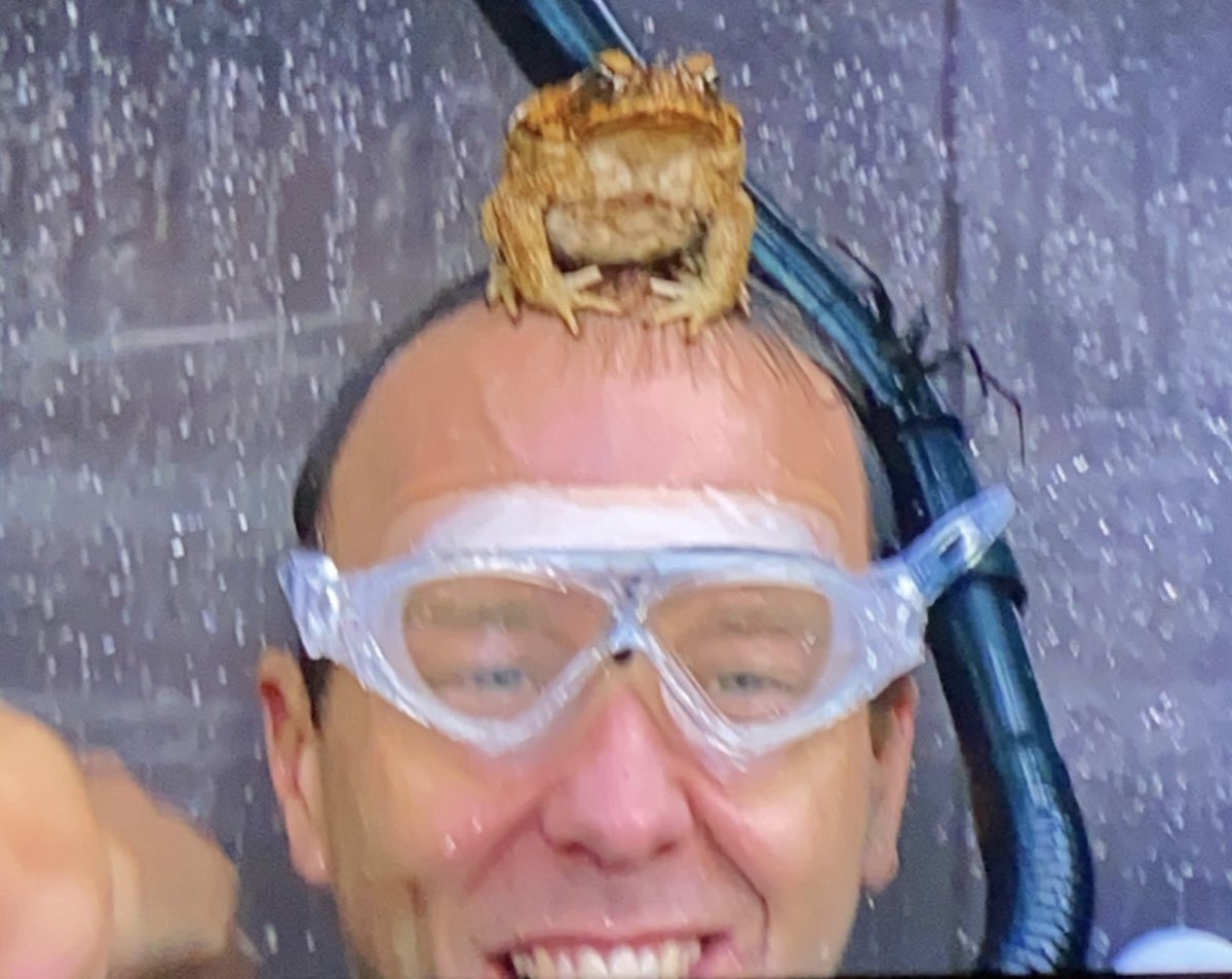 Kay Burley tweet media