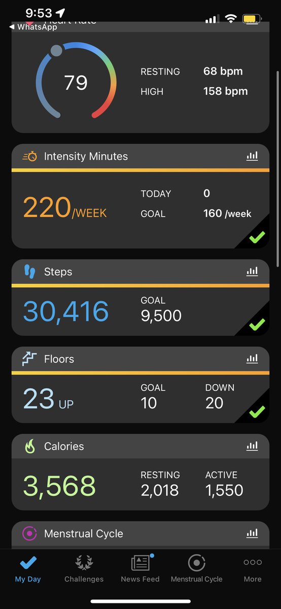 I have never done that many steps in one day ever. I can’t walk. My feet are somewhere in the forest.