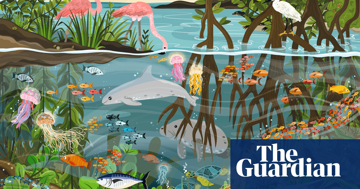 Kidlit World tweet media