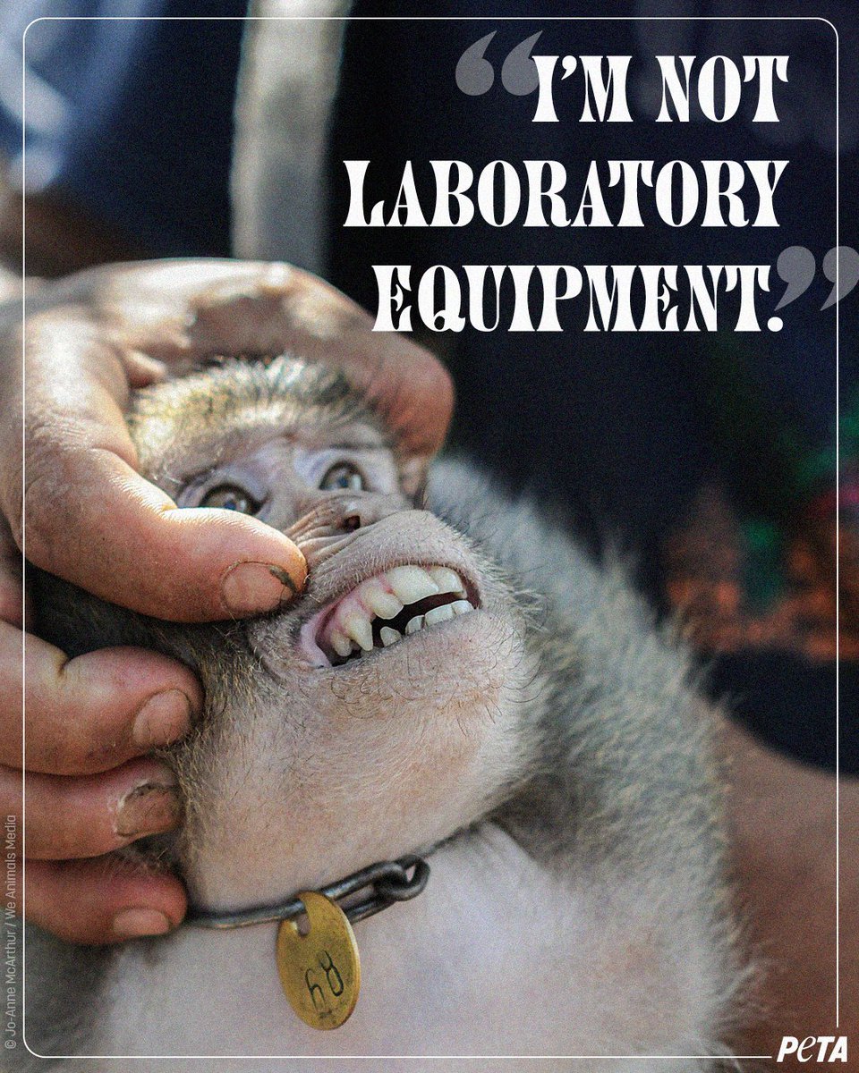 They’re individuals, not lab equipment! 😡

REPOST if you agree.