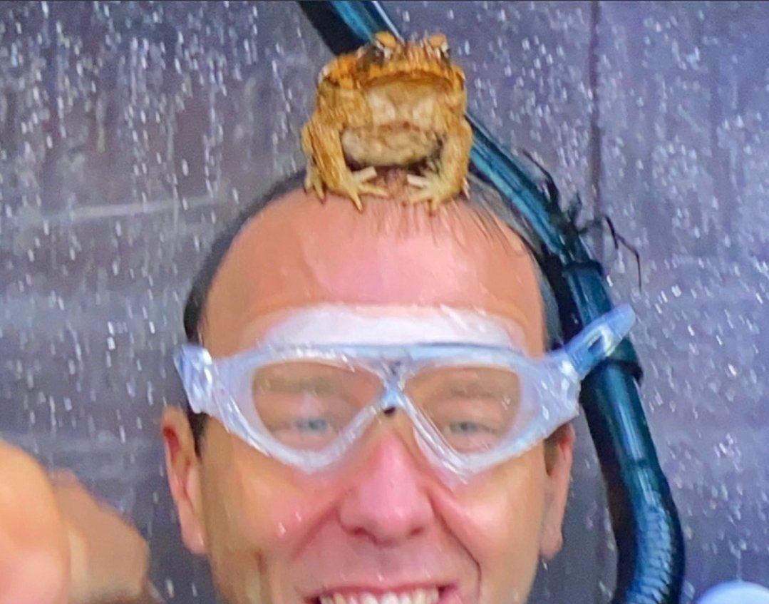 Matt Hancock is like an alien trying to pretend to be a human #ImACelebrity