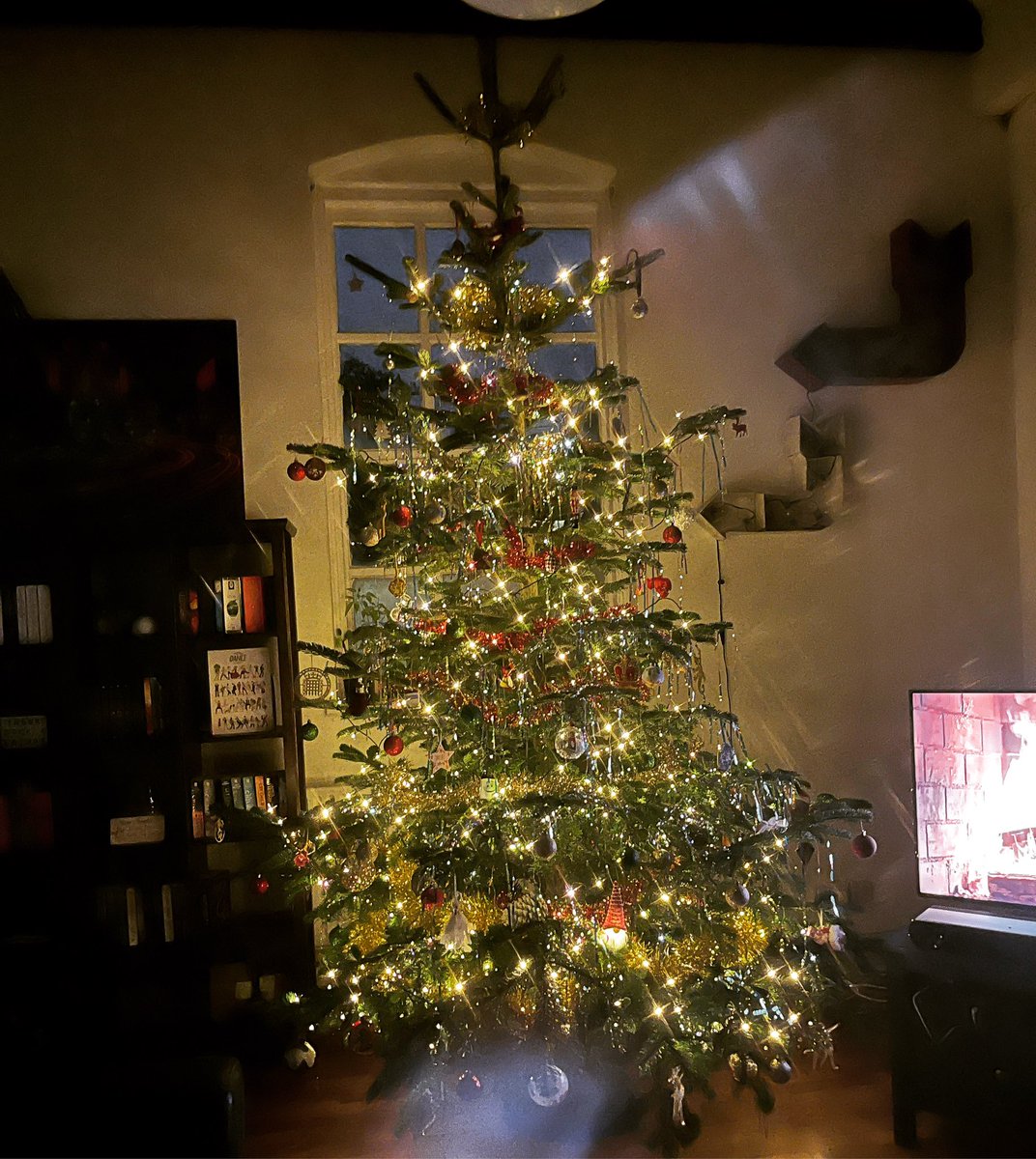 Because if you CAN have a 12 foot tree and throw every decoration you can find on it, you should!