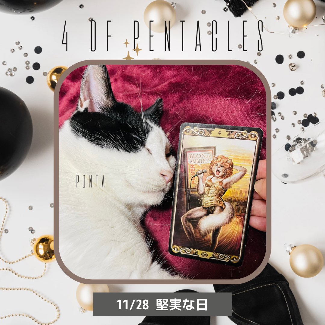 oraclerinko's tweet photo. 11/28堅実な日🧐現状維持や安定を保てる時。身の回りの管理や倹約、整理整頓が捗ります👍一方で物事に執着しやすい時でもあるので、意識的に人と分かち合う喜びを感じるようにしましょう🥰 #4ofPENTACLES #すやすやﾆｬ #タロット #猫 https://t.co/iNbDwHI9Gl