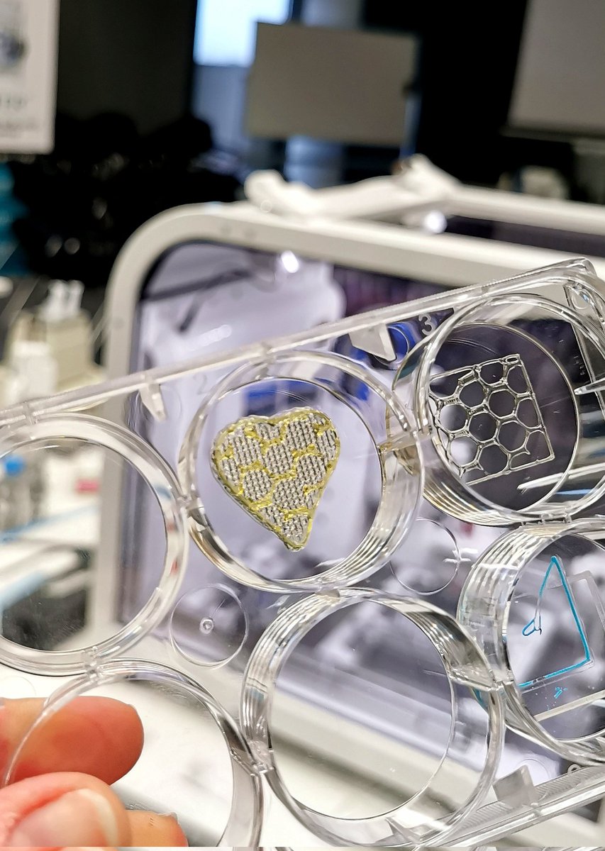 agnieszka_nadel's tweet photo. It's just a 2min 3D-print, guided by open-minded team @WeAreBrinter, but for me... preludium to bioprinting and kick of inspiration 🚀
Thanks to workshop's organizers- Laboratory of Applied Biotechnology #wczt
Can't wait to design my first #bioprint 🧫 https://t.co/Q7gtgmRtfG
