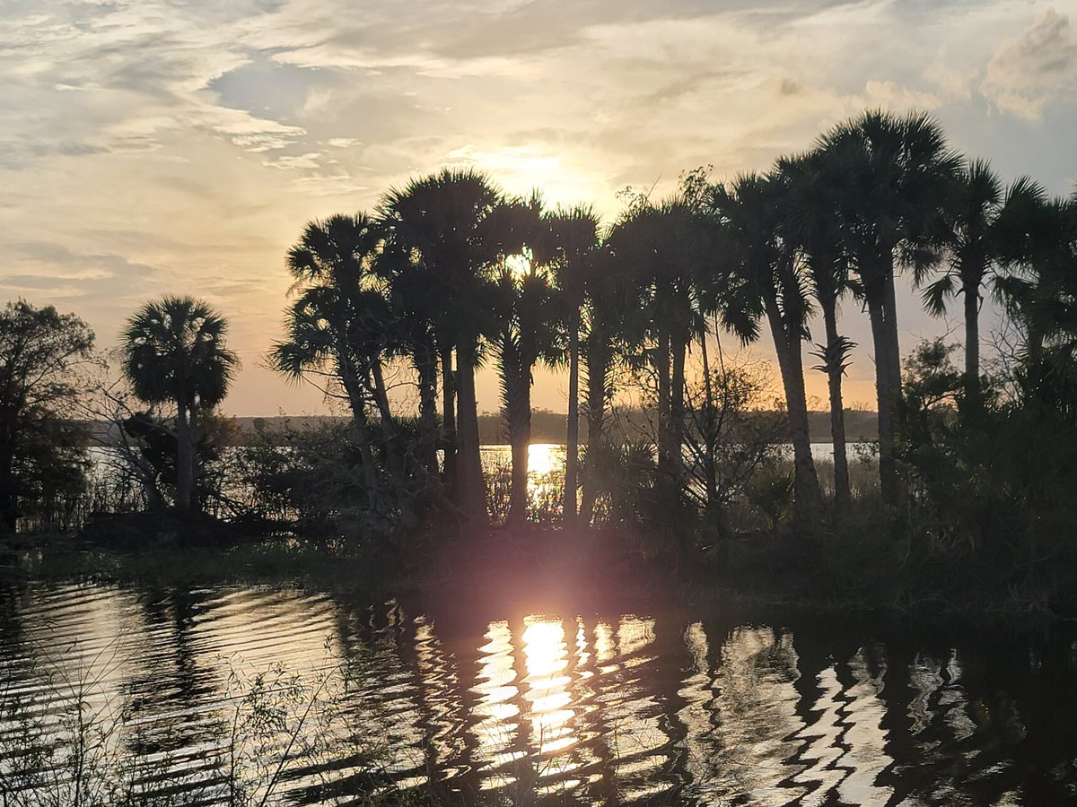 SpaceCoastSkies's tweet photo. A gorgeous sunset is happening &amp; the  weather couldn't be better 🥰 #spacecoastskies #flwx #stormhour #sunset #lovefl https://t.co/zagoPCPsJ6
