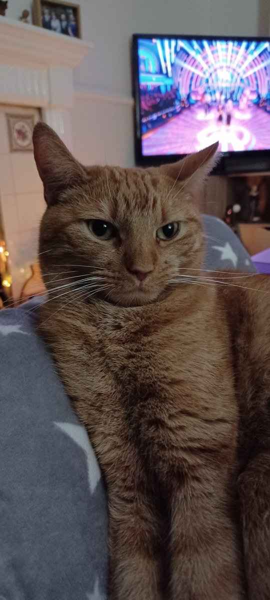 LifeastheGinge1's tweet photo. Sometimes you just need a friend. I am doing a Friend Check-in.Showing support for one another. I would appreciate if seven people posted, not RTing, this message to show that you are always there if someone needs to talk.Tweet &amp; say done on my post. Who are my seven?! #POCT 😺💖 https://t.co/oNgNaAzuFz