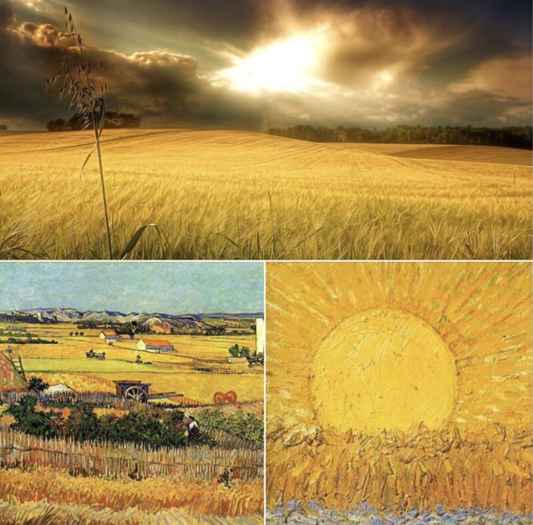 Harvests and sunlight are inseparable in the life of the land and in the art of #VanGogh. No other painter celebrated the yellow light of the sun, harvest and the land as Van Gogh did. It is impossible to think of Vincent's artistic legacy without the soil and the color yellow.