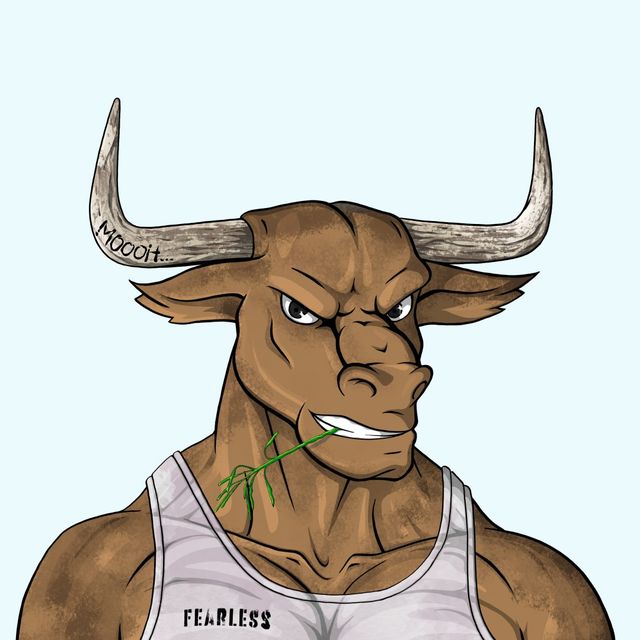 JellyBrainX's tweet image. Here are my 3 new @Fearless_Bulls PFPs. Let's gooooooo! Tank top MFs!
