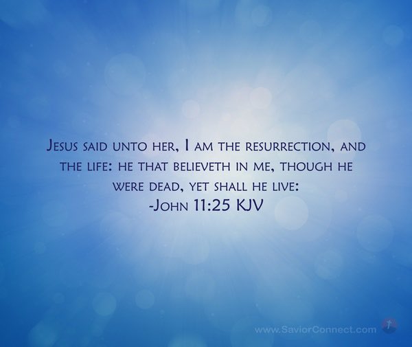 even_stvn's tweet photo. Therefore, as by one man sin entered into the world, and death by sin, and so death passed on all men, for all have sinned. (Romans 5:12). For since by man came death, by man came also the resurrection of the dead.( 1 Corinthians 15:21). #SpirituallyAlive? Or, #SpirituallyDead? https://t.co/runMhzPu7p
