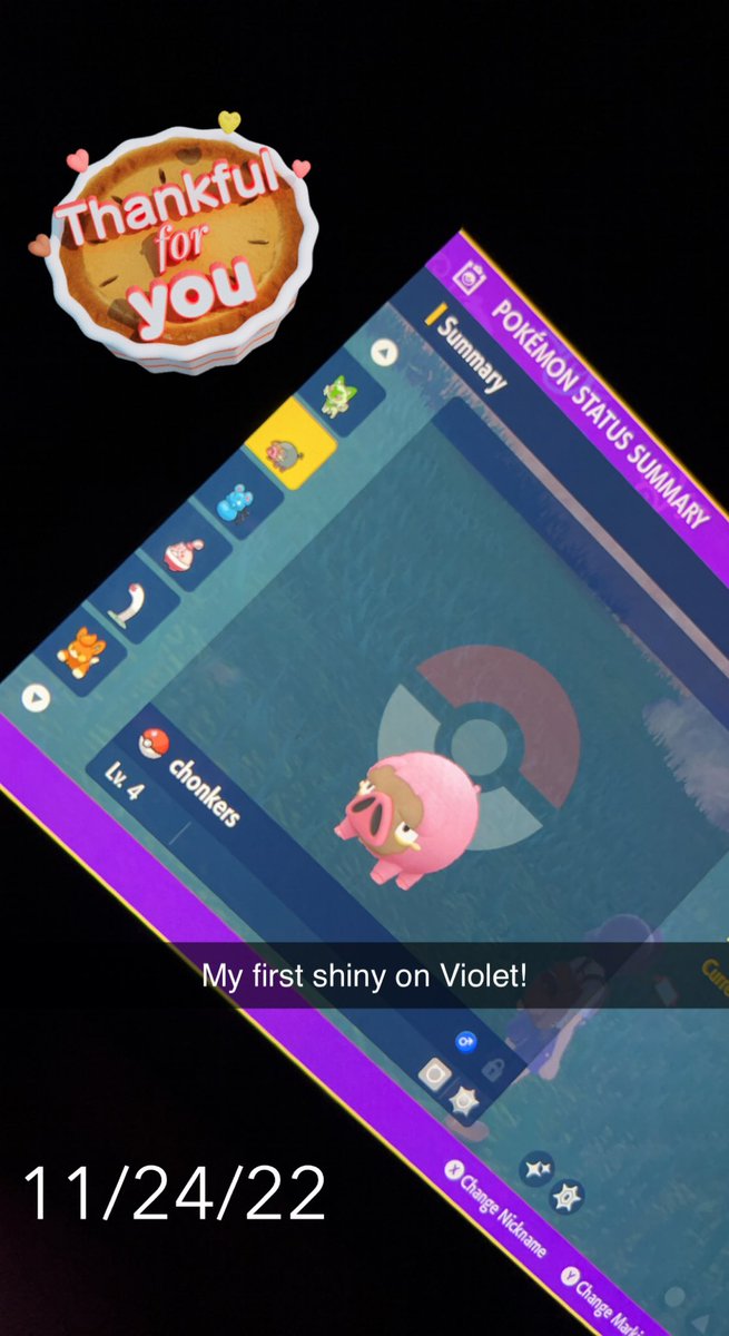 PizzachuKalyn's tweet photo. My first shiny on #PokemonViolet ! Have you caught a #shiny yet? https://t.co/FzkEeAGRDo