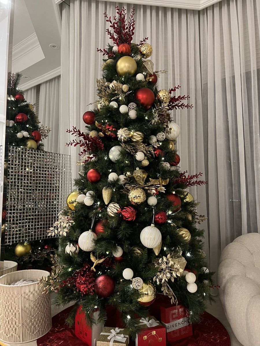 ambre_lanes's tweet photo. Just finished our Christmas tree! 🎅🏽 🎄 #edpt200 https://t.co/NxrRb8lFFY
