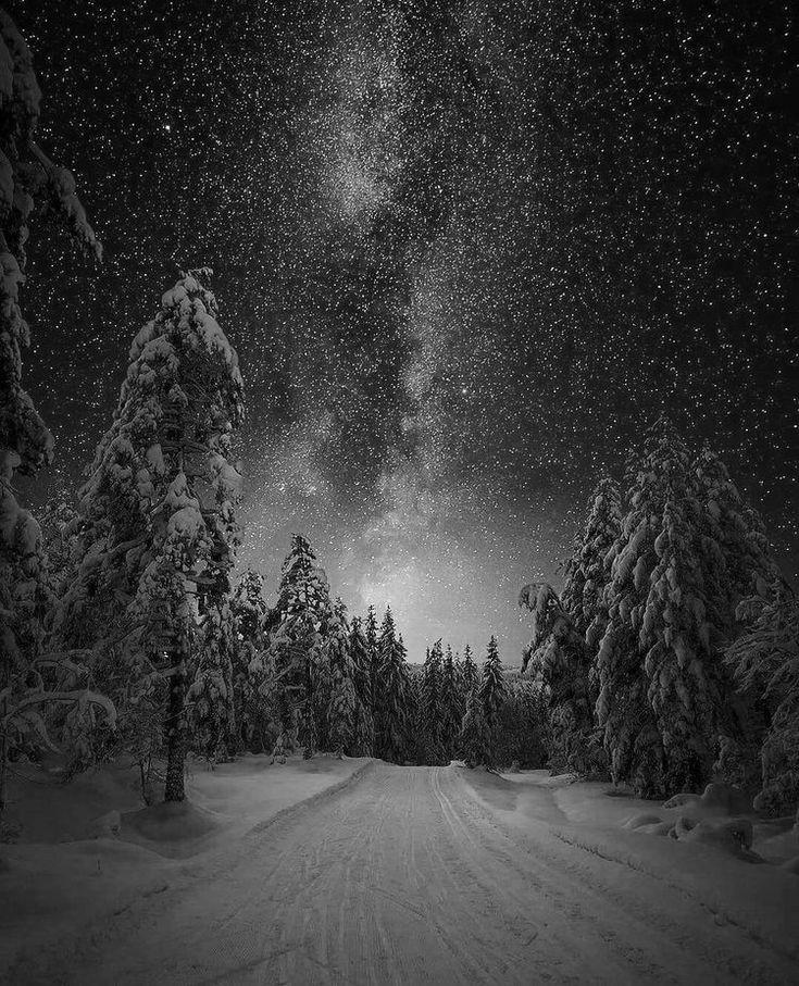sinyavsky_a's tweet photo. Just #goodnight https://t.co/Q2kEDwlRXF