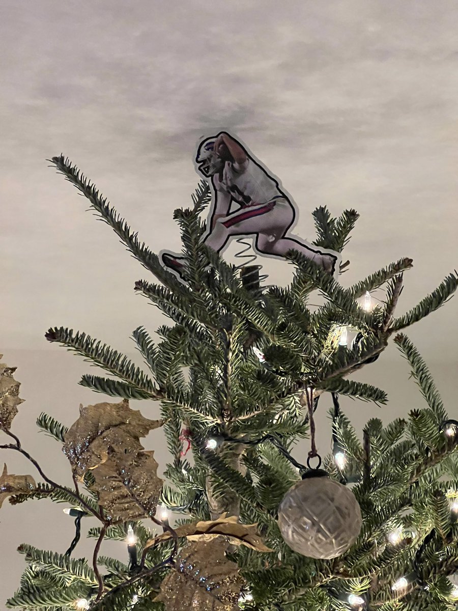 NOutterson's tweet image. My wife keeps our tree very clean and classy with gold things and lots of lights…this is my contribution @WGR550 @BuffaloBills @JoshAllenQB #BillsMafia
