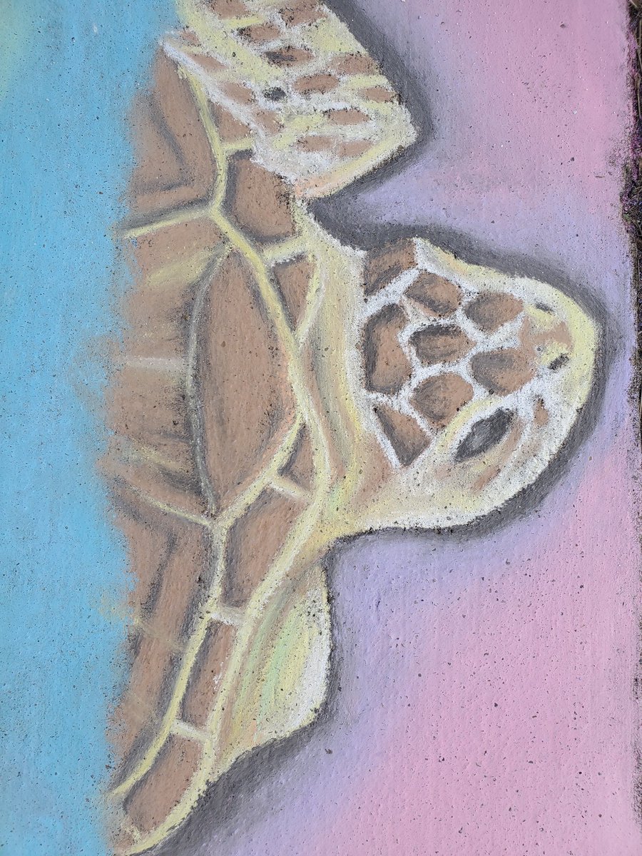 CCarranzaEDU's tweet photo. Some art for @SeaTurtles_org @turtlenews @seaturtle @conserveturtles 

Art by: Dion K, 14. Chalk on cement sidewalk. approx 1hr. https://t.co/ZEnpcuHxM5