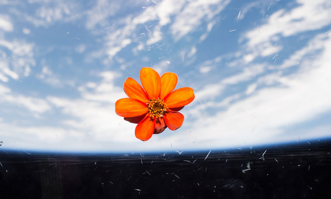 Astro Gal Society| NOW MINTING🌙 tweet media