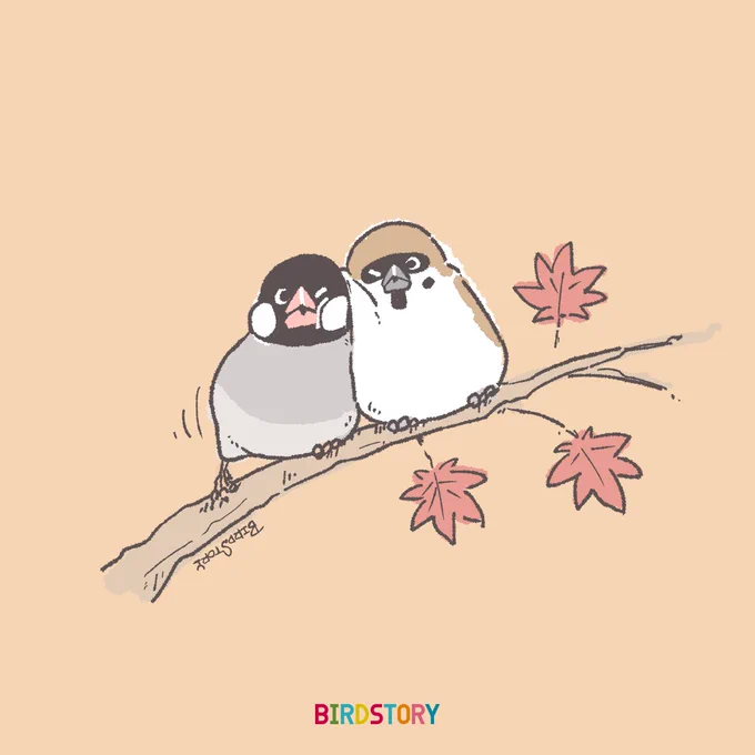 おはようございます。本日は11月28日、語呂合わせから、いい庭の日とのことですそして週のはじまり月曜日。気分が重いところですが、ゆっくりエンジンかけて頑張っていきたいと思います#BIRDSTORY #スズメ #ブンチョウ 