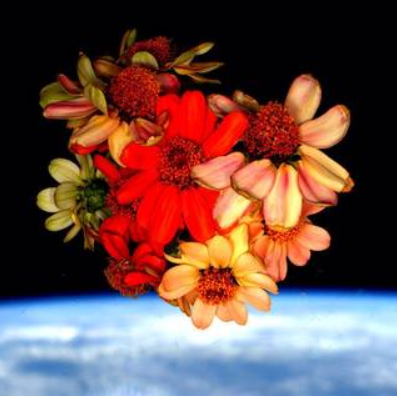 Astro Gal Society| NOW MINTING🌙 tweet media