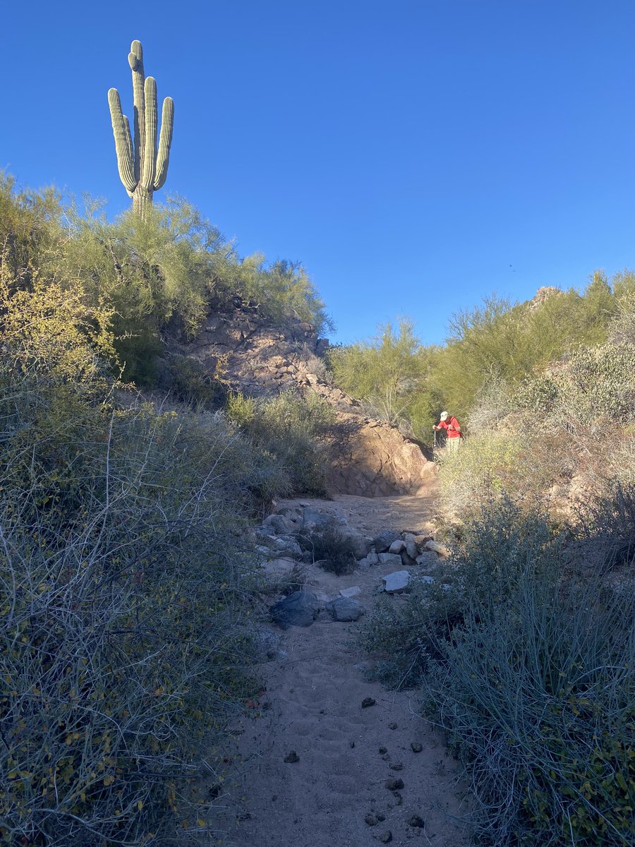 Dr. Jim Elser, PhD 🇺🇸 tweet media