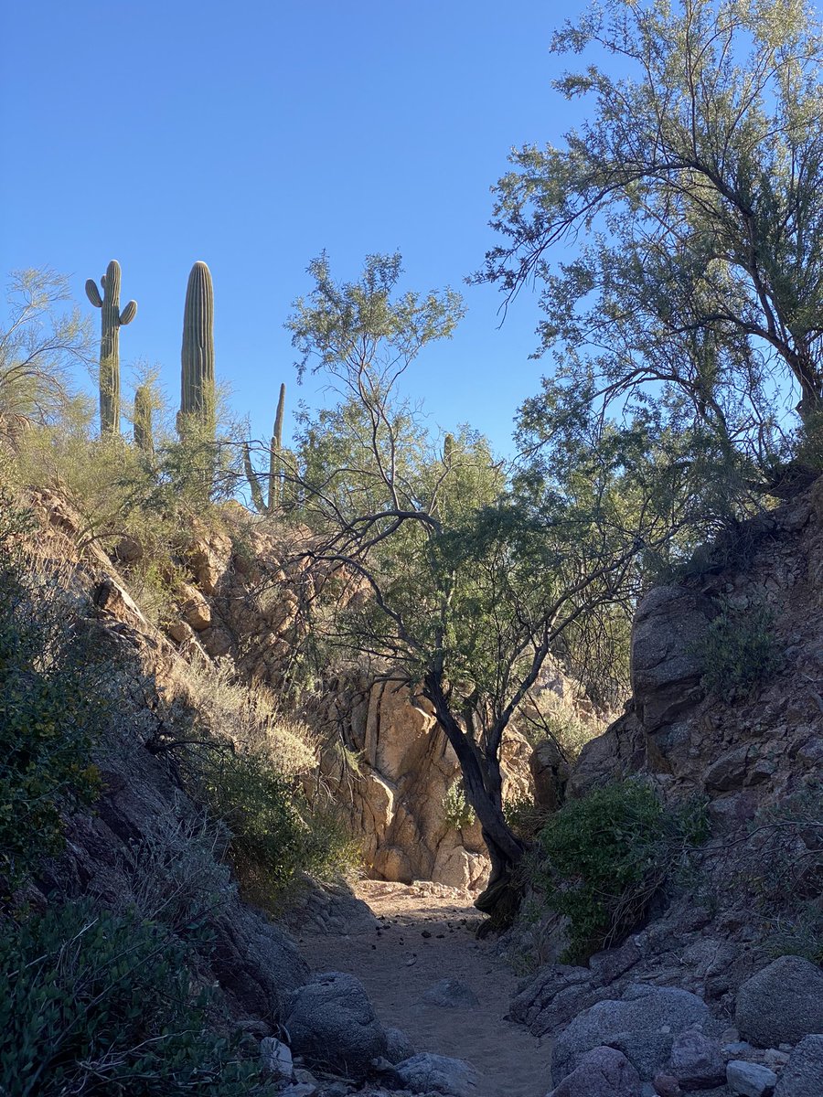 Dr. Jim Elser, PhD 🇺🇸 tweet media