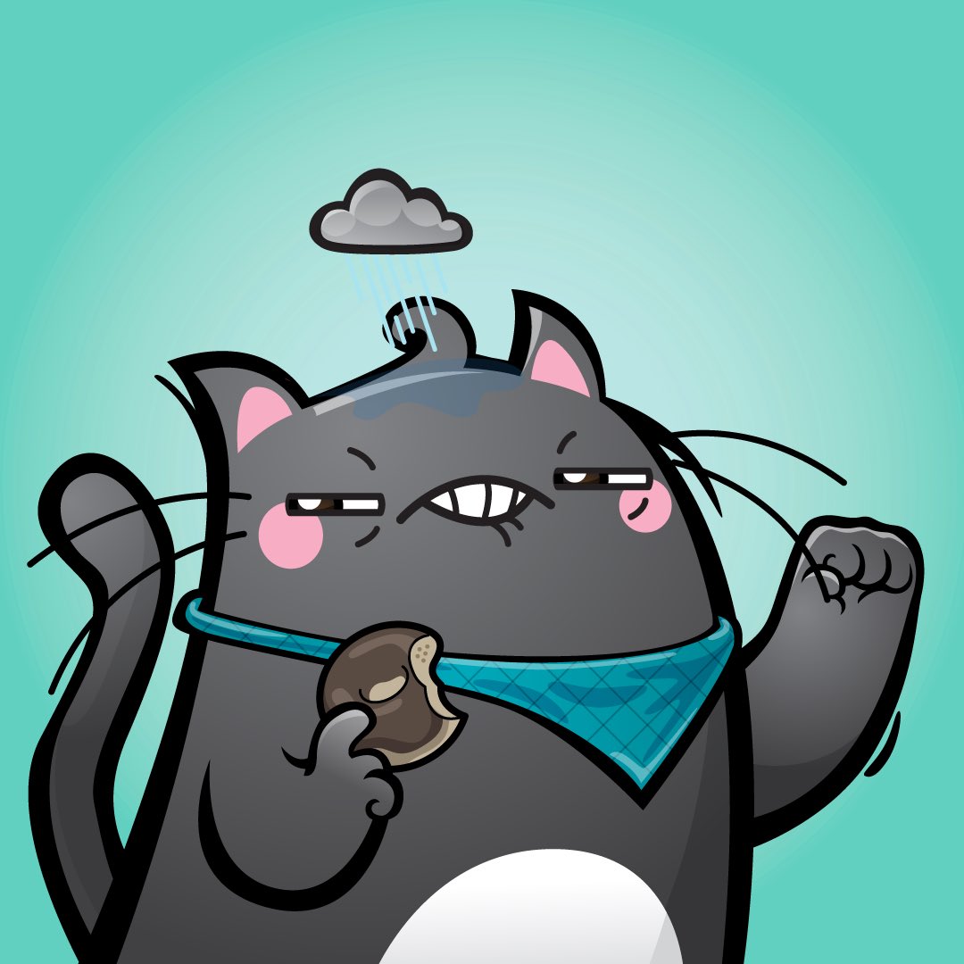 Barren_Wuffet_'s tweet photo. @hashlolz Kitten for sure 🐈💪 

Check out @meetnippy and find the most welcoming community in the whole rabbithole. 

And a dope project too for sure. https://t.co/eFAfAmArT8
