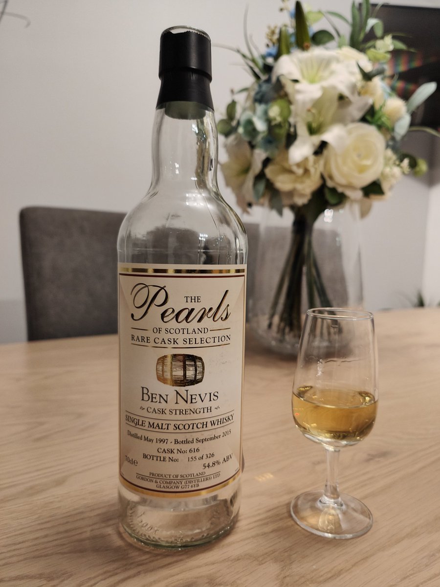 Not the best and not the worst Ben Nevis. I blame the wood 🪵.