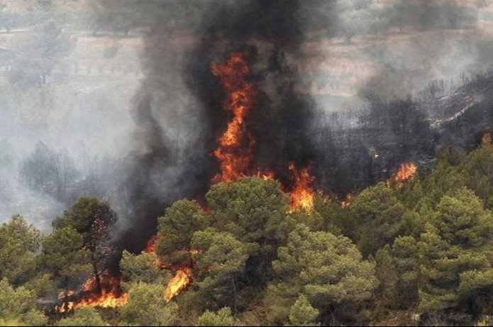 RSKingofCurses's tweet photo. This is devastating for the wildlife  The 
#HyrcanianForests forests of Gilan have been burning for 6 days with no help from the authorities.  Environmentalist and locals have not been able to stop the fire.
Islamic repoblic does not send help at all
#MahsaAmini
#IranRevolution https://t.co/ZygLncGSfc