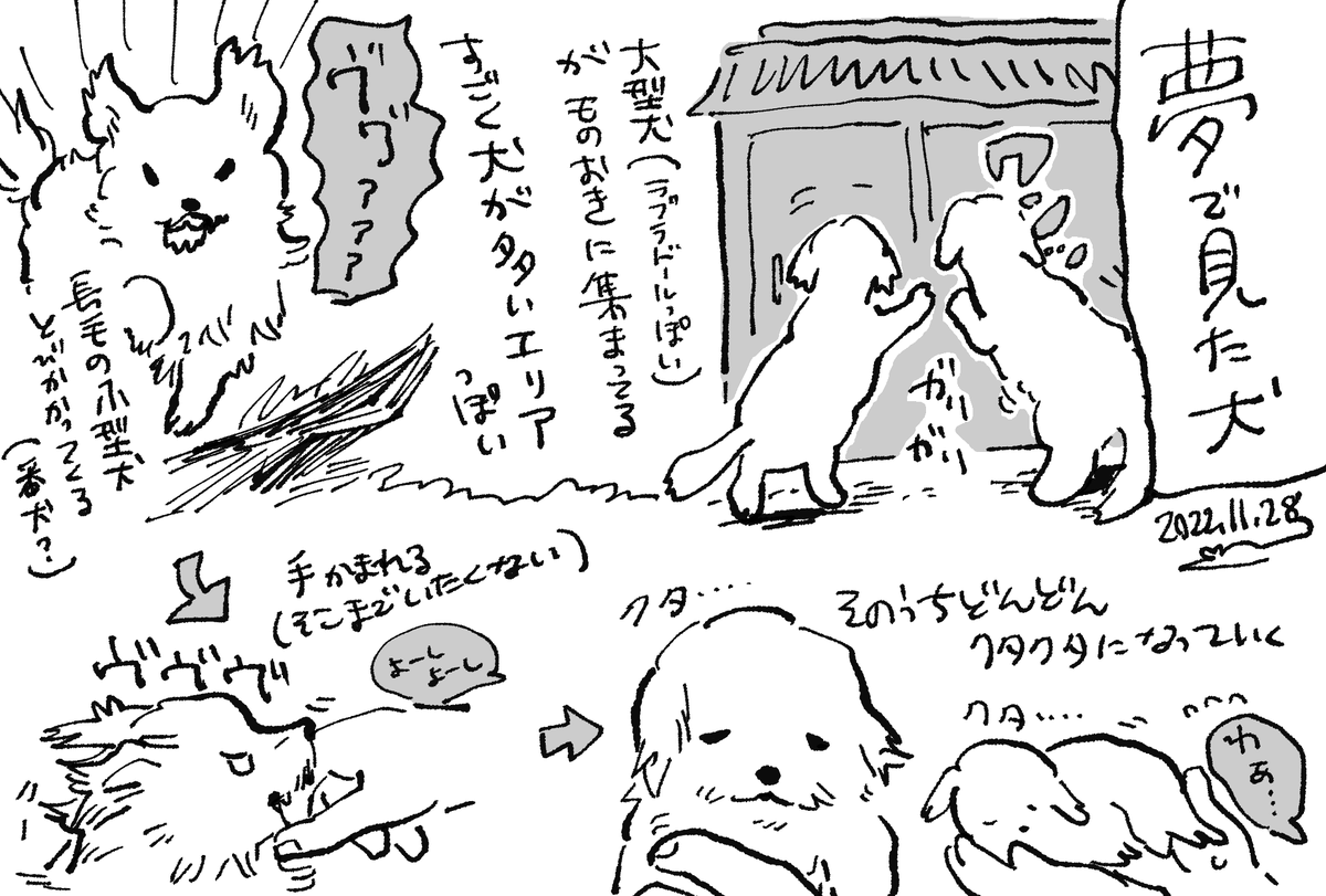 犬の夢見た 