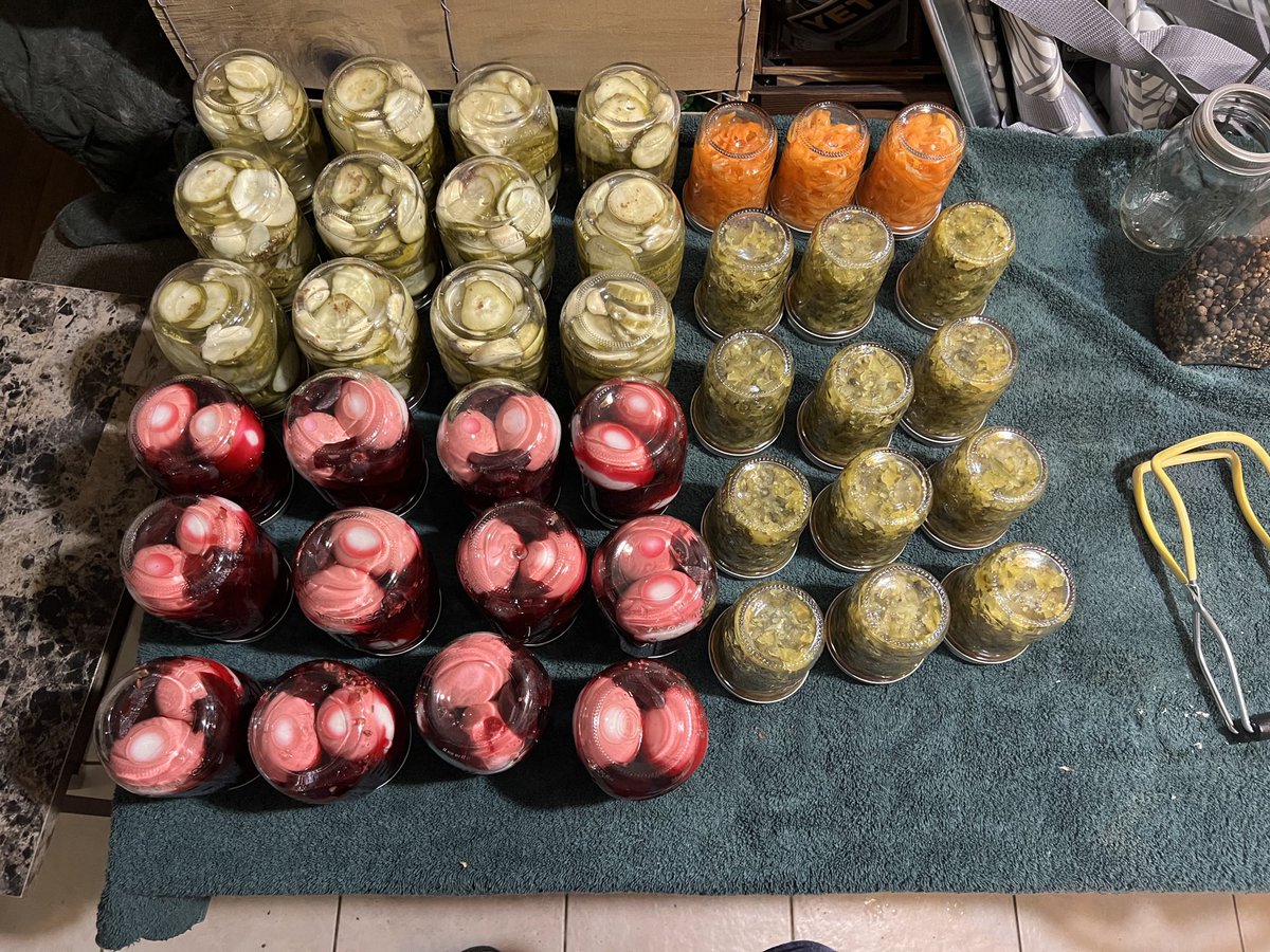hellgaskitchen's tweet photo. Weekend of productivity!
Mushrooms
Beets
Dill coins
Haberno peppers
Pickled eggs with beets
Dill relish
#hellgaskitchen https://t.co/wdMev6vMUi