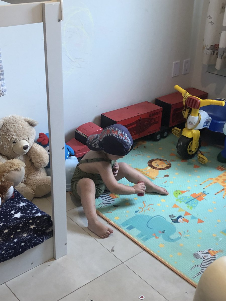 _adnerb's tweet photo. Kiko de boné no quartinho dele pra encerrar bem o domingo de todo mundo https://t.co/Dzel1wQXCa