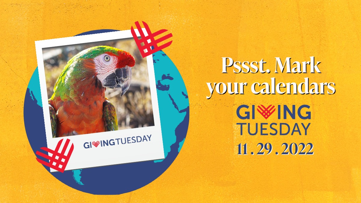 It's A Match! 🎉 - mailchi.mp/thegabrielfoun…