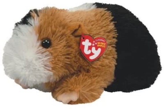 Patches the guinea pig. 
Birthday: November 27, 2009.
“Different colors of fancy fur
Keeps me warm and handsome for sure
The different colors of special patches
Look so nice and really matches !”