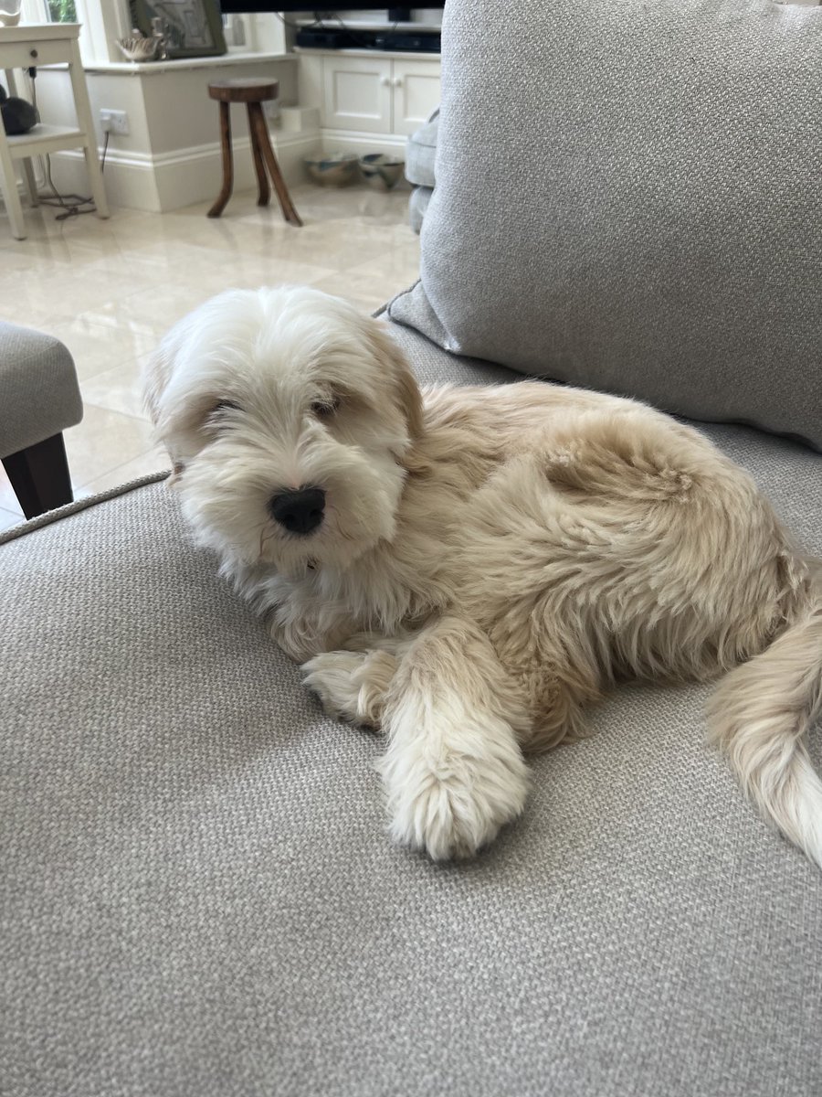 Michael Ball OBE💙 tweet media