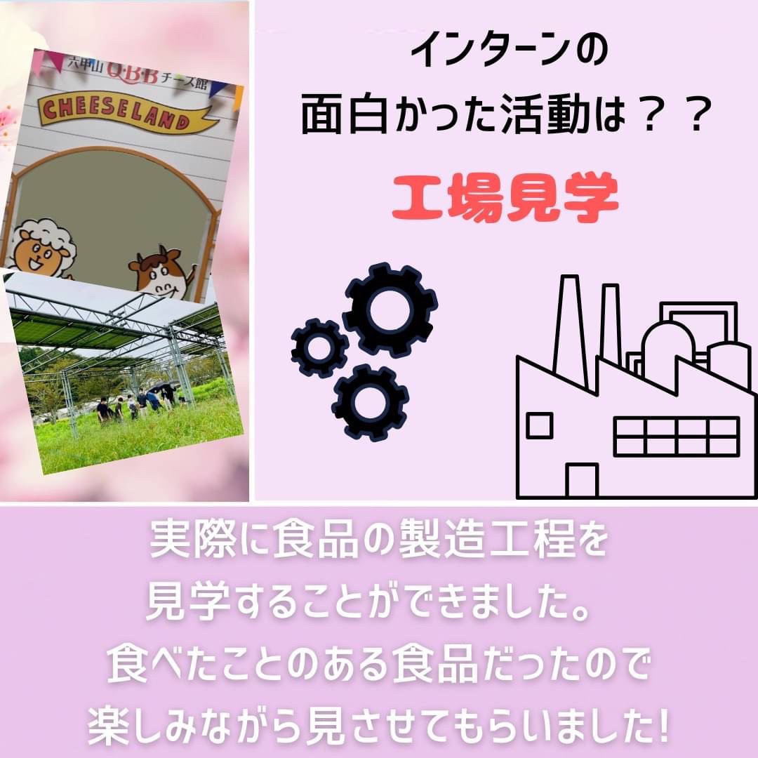 dotjpkansai's tweet photo. 📣インターン紹介📣
過去のインターン生に突撃インタビュー！？

こんにちは、ドットジェイピー関西エリアです✨

今年の夏休みに参加した #大学生 に、#インターン の感想を聞いてみました😆

まだまだインターン紹介は投稿しますので、ぜひご覧下さい🙌 https://t.co/F7KtlfL6po