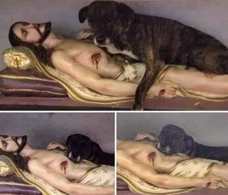 sscjusa's tweet photo. Somewhere in South America, a dog entered a Catholic Church and slept next to an image of Jesus. Some of the parishioners noticed it and told the priest, and the priest said: "Let him be and don't bother him, he has every right to be with his Lord and Master." https://t.co/YxxvskP0cY