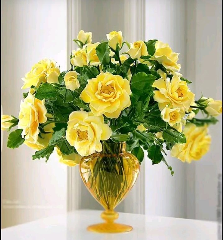 Bob Richard (@bobrich72280539) on Twitter photo 