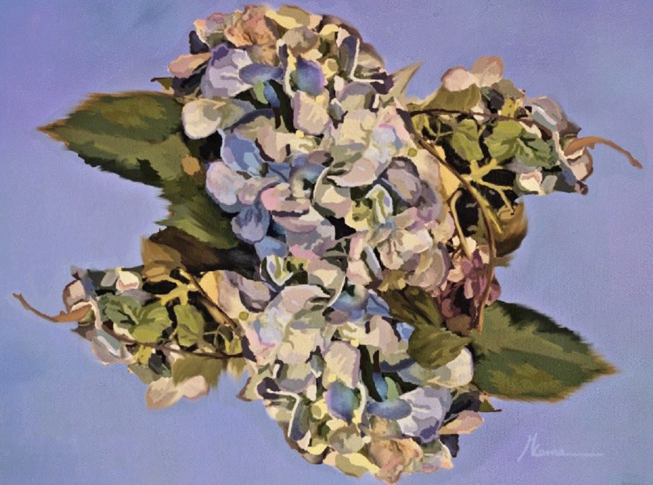 artbyamckenna's tweet photo. A favorite flower for a favorite person #artbyamckenna
#flowers #hydrangeas #bluehydrangeas #digitalart #digitalpainting #artist #digitalartists #digitalpainters #abstractart #realisticart #flowerart #flowerpainting #digitalflowerart #birthdayart https://t.co/OdmGBfdEN6